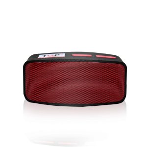 [NOT FOR SALE] TGP Bluetooth Speaker