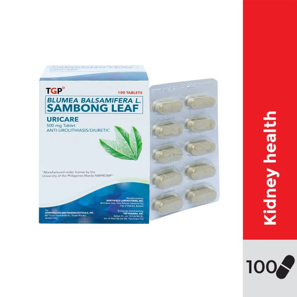 uricare-sambong-leaf-500mg-tablet-100s-1.jpg