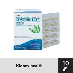 URICARE Sambong Leaf 500mg Tablet 10s